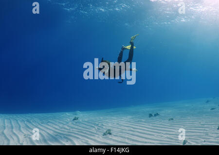 Rotes Meer, Ägypten. 15. Oktober 2014. Freediver schwimmt über sandigem Untergrund, Rotes Meer, Ägypten © Andrey Nekrassow/ZUMA Wire/ZUMAPRESS.com/Alamy Live-Nachrichten Stockfoto