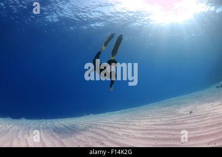 Rotes Meer, Ägypten. 15. Oktober 2014. Freediver schwimmt über sandigem Untergrund, Rotes Meer, Ägypten © Andrey Nekrassow/ZUMA Wire/ZUMAPRESS.com/Alamy Live-Nachrichten Stockfoto