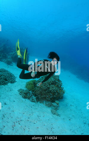 Rotes Meer, Ägypten. 15. Oktober 2014. Freediver schwimmt über sandigem Untergrund, Rotes Meer, Ägypten © Andrey Nekrassow/ZUMA Wire/ZUMAPRESS.com/Alamy Live-Nachrichten Stockfoto