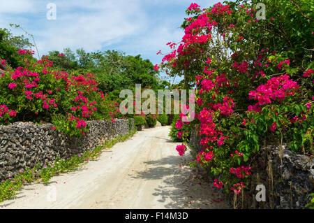 Taketomi Insel in Okinawa, Japan Stockfoto