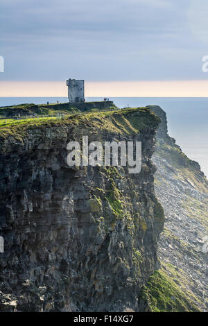 Klippen von Moher auf dem Wilden Atlantik Weg an der West Küste von Irland Stockfoto