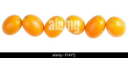 Sechs ovale Kumquats in eine Zeile Nahaufnahme. Makro-Foto von oben auf weißem Hintergrund. Stockfoto