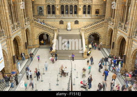 LONDON, UK - 28. April 2013: Menschen in der Haupthalle im Londoner Natural History Museum. Stockfoto