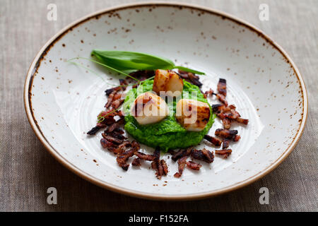 Jakobsmuscheln mit Erbsenpüree und knusprigem Speck Stockfoto