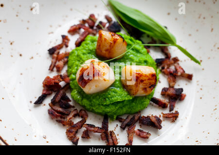 Jakobsmuscheln mit Erbsenpüree und knusprigem Speck Stockfoto