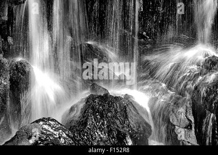 Deutschland, Schwarzwald: schwarz-weiß-Version des frischen Kaskade am Alb Wasserfall in Menzenschwand Stockfoto