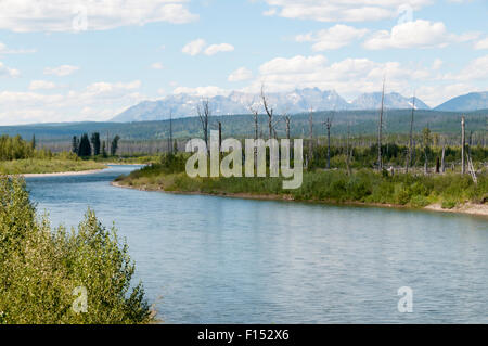 North Fork des Flathead River in Montana, USA. Stockfoto