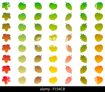 Blätter, die von Grün in herbstlichen Farben beim Herunterfallen ändern. Abbildung auf weißem Hintergrund. Stockfoto