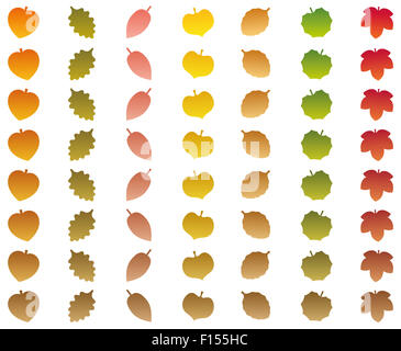 Blätter, das Ändern von Farben des Herbstes in vertrocknete braunen Farbe beim Herunterfallen. Abbildung auf weißem Hintergrund. Stockfoto