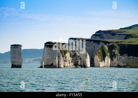 Old Harry Rocks Handfast, Studland, Isle of Purbeck, Dorset, England, Vereinigtes Königreich, Stockfoto