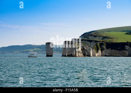 Old Harry Rocks Handfast, Studland, Isle of Purbeck, Dorset, England, Vereinigtes Königreich, Stockfoto