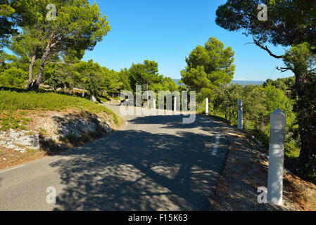 Landstraße im Sommer Malaucene, Mont Ventoux in der Provence, Vaucluse, Frankreich Stockfoto