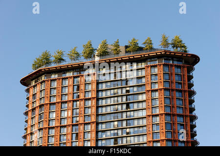 Bäume wachsen auf der Woodward-Gebäude in der Innenstadt von Vancouver, British Columbia, Kanada Stockfoto