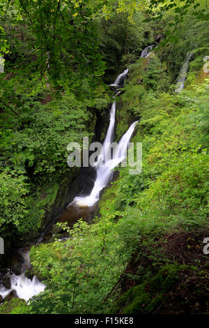 Am Stock Ghyll Kraft in der Nähe von Ambleside, Cumbria, Nationalpark Lake District, England, UK. Stockfoto