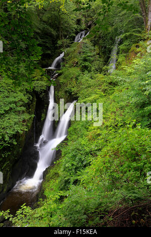 Am Stock Ghyll Kraft in der Nähe von Ambleside, Cumbria, Nationalpark Lake District, England, UK. Stockfoto