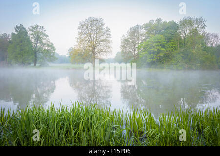 See auf Misty Morning in Spring, Parken, Schonbusch, Aschaffenburg, Unterfranken, Bayern, Deutschland Stockfoto