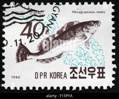 DPR Korea 1990 Hexagrammos Otakii Fisch Unkraut braunen Stempel Stockfoto