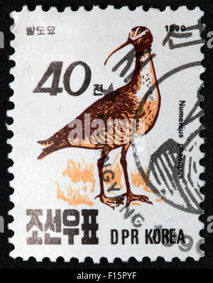 Numenius Phaeopus Vogel DPR Korea 40 Numenius Stempel Stockfoto