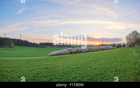 Landschaft bei Sonnenuntergang im Frühling, Oberpfalz, Bayern, Deutschland Stockfoto