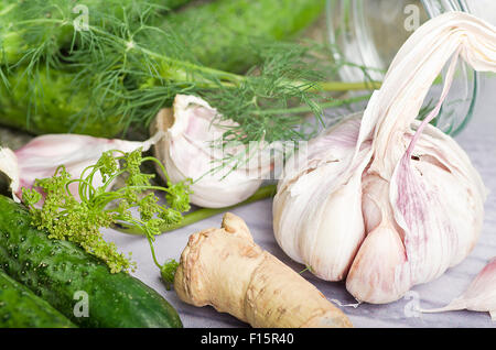 Vorbereitung von sauren Gurken in Gläsern. Stockfoto