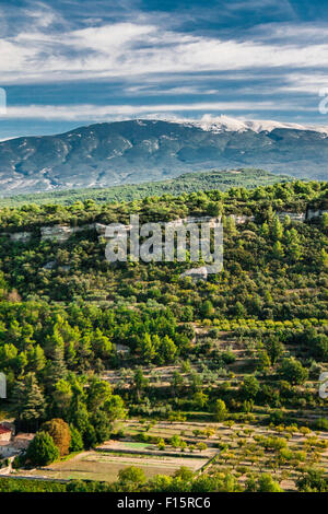 Blick auf den Mont Ventoux, Vaucluse, Frankreich Stockfoto