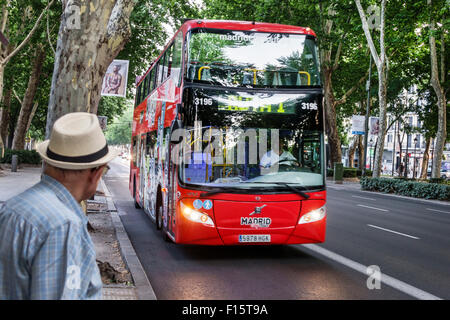 Madrid Spanien, Hispanic Centro, Paseo del Prado, Bus, Bus, rot, Doppeldecker, Spanien150629187 Stockfoto