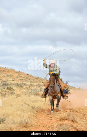 Cowboy auf Pferd mit Lasso in der Hand, Shell, Wyoming, USA Stockfoto