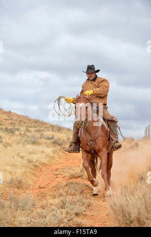 Cowboy auf Pferd mit einem Seil in der Hand, Shell, Wyoming, USA Stockfoto