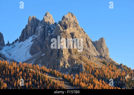 Cadini di Misurina mit Wald im Herbst Laub, Cadore, Belluno Bezirk, Veneto, Dolomiten, Alpen, Italien Stockfoto