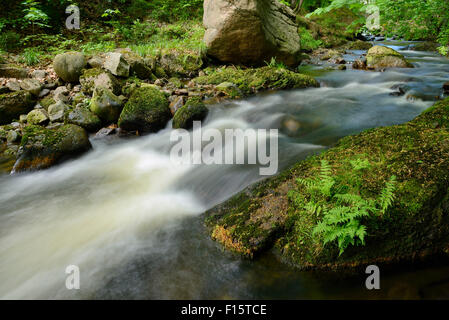 Ilse, Ilse Tal. Heinrich Heine Wanderweg, Ilsenburg, Harz Nationalpark, Harz, Sachsen-Anhalt, Deutschland Stockfoto