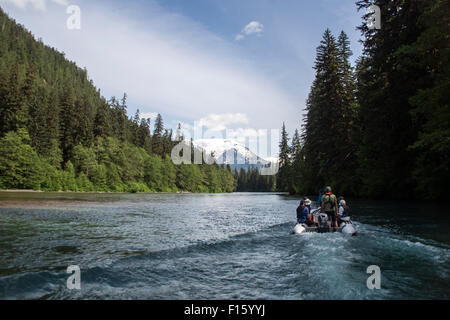 Ein Wildnis-Guide und Touristen reisen auf einem abgelegenen Fluss von Zodiac in der Great Bear Rainforest von British Columbia, Kanada. Stockfoto