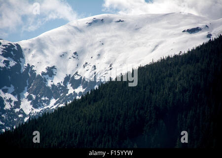 Eine schneebedeckte Berggipfel entlang der pazifischen Küste Fjord in der Great Bear Rainforest, British Columbia, Kanada. Stockfoto