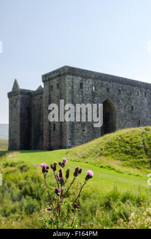 Historic Scotland Hermitage Castle aus dem Graben am Liddesdale, Nr. Newcastleton, Scottish Borders, Vereinigtes Königreich Stockfoto