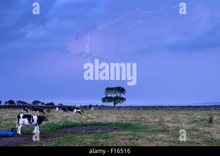 Lightning over Morecambe Bay von Silverdale Lancashire UK Stockfoto