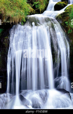 Deutschland, Schwarzwald: Kaskade der Triberger Wasserfälle Stockfoto