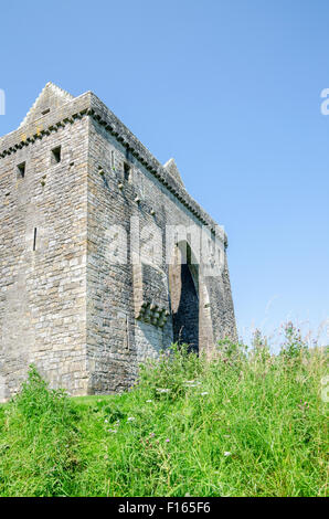 Historic Scotland Hermitage Castle aus dem Graben am Liddesdale, Nr. Newcastleton, Scottish Borders, Vereinigtes Königreich Stockfoto