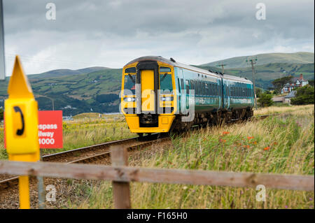 Arriva Wales trainiert Diesel mehrere Ganzzug nähert sich einem Bahnübergang, Ynyslas Wales UK Stockfoto