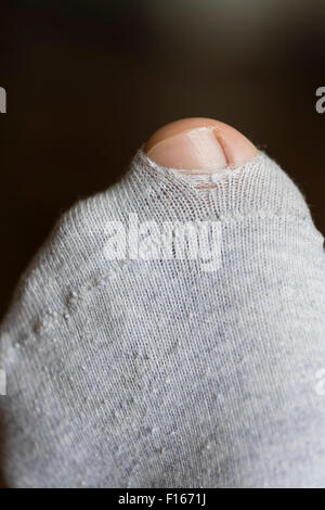 Großen Zeh des linken Fußes kommen durch ein kleines Loch in einem zerrissenen Socken Grau Baumwolle Stockfoto