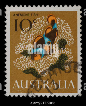 Briefmarke gedruckt in Australien zeigt Anemonenfisch, Clownfische, ca. 1966 Stockfoto