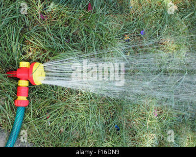 Schlauch mit einem Spray Bewässerung Rasen Closeup. Schlauch-Ströme von Wasser gegossen auf dem grünen Rasen. Stockfoto