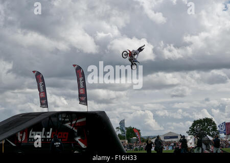 Die Bucks County Show, UK. 27. August 2015. Bolddog, Hondas offizielle Motorrad Stunt Display Team. © Scott Carruthers Stockfoto