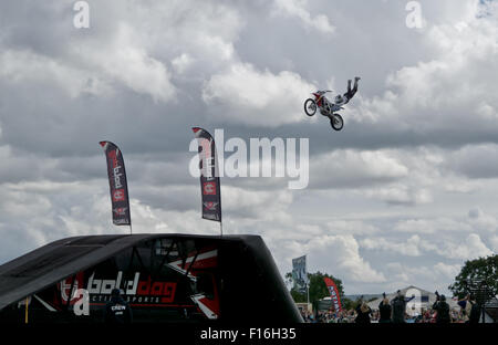 Die Bucks County Show, UK. 27. August 2015. Bolddog, Hondas offizielle Motorrad Stunt Display Team. © Scott Carruthers Stockfoto