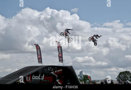 Die Bucks County Show, UK. 27. August 2015. Bolddog, Hondas offizielle Motorrad Stunt Display Team. © Scott Carruthers Stockfoto