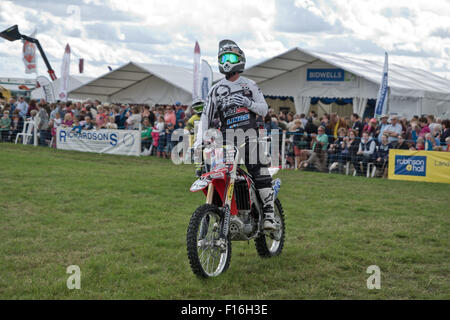 Die Bucks County Show, UK. 27. August 2015. Bolddog, Hondas offizielle Motorrad Stunt Display Team. © Scott Carruthers Stockfoto