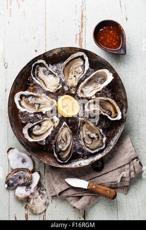 Austern auf Kupfer Metallplatte auf blauen hölzernen Hintergrund mit pikanter Sauce und Auster Messer geöffnet Stockfoto