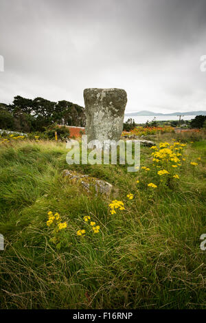 Ständigen Stein auf Schafskäse Kopf Halbinsel, West Cork, Irland Stockfoto