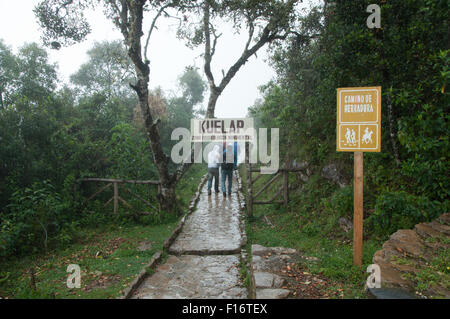 Eingang zur alten Zitadelle von Kuelap in Chachapoyas Nord-Peru Stockfoto