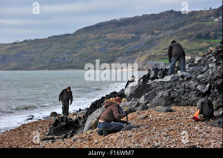 Paläontologen und Touristen auf der Suche nach Fossilien am Strand nach Erdrutsch in schwarz Ven in der Nähe von Lyme Regis, Jurassic Coast, Dorset Stockfoto