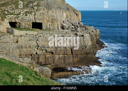 Tilly Laune Steinbruch und Höhlen von Anvil Point, Durlston Head auf der Isle of Purbeck entlang der Jurassic Coast in Dorset, England, UK Stockfoto