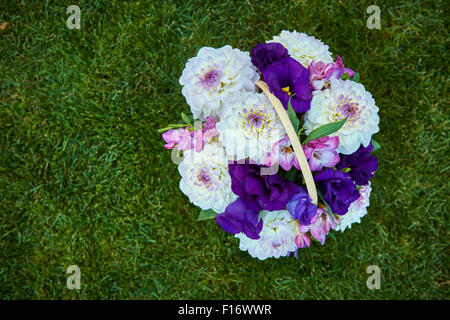 Schöne Blumen im Korb Stockfoto